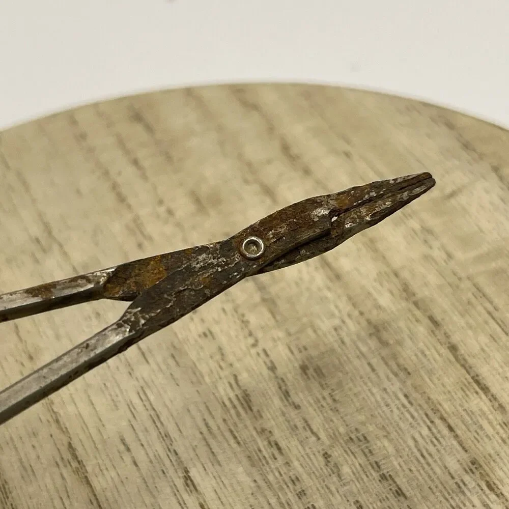 VTG Atq Hemostat Clipper 5” Rusted Tarnished Prop Display